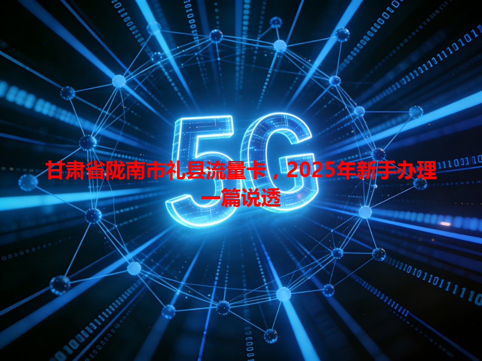 甘肃省陇南市礼县流量卡，2025年新手办理一篇说透