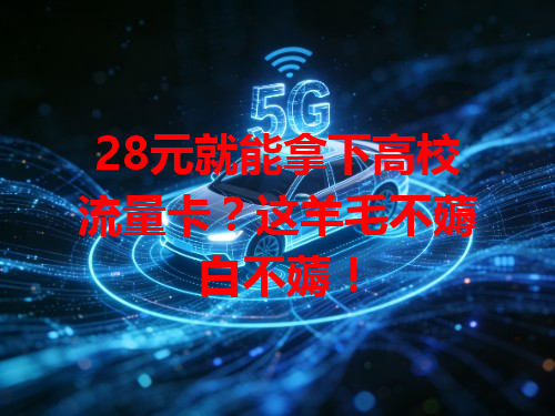 28元就能拿下高校流量卡？这羊毛不薅白不薅！