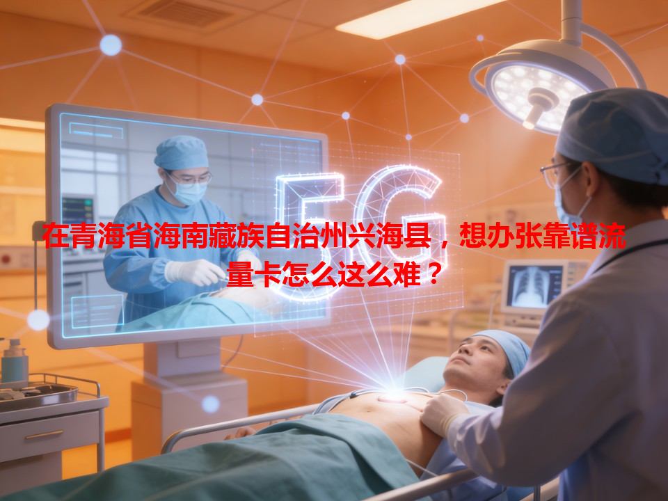 在青海省海南藏族自治州兴海县，想办张靠谱流量卡怎么这么难？