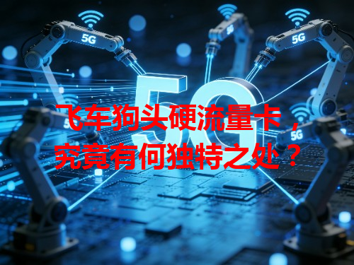 飞车狗头硬流量卡，究竟有何独特之处？