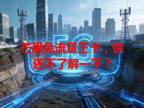 芒果免流量王卡，你还不了解一下？