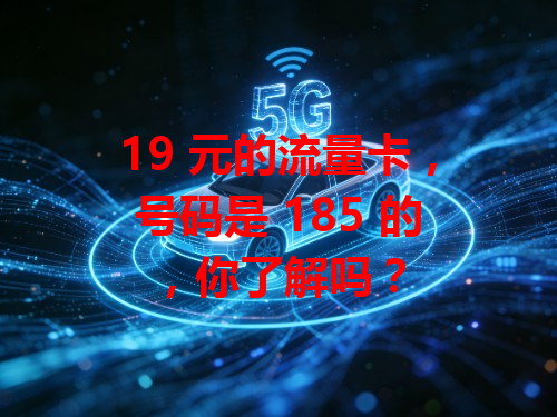 19 元的流量卡，号码是 185 的，你了解吗？