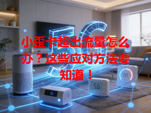 小歪卡超出流量怎么办？这些应对方法要知道！