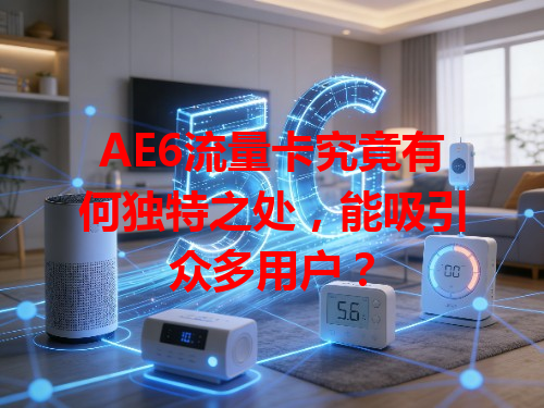 AE6流量卡究竟有何独特之处，能吸引众多用户？