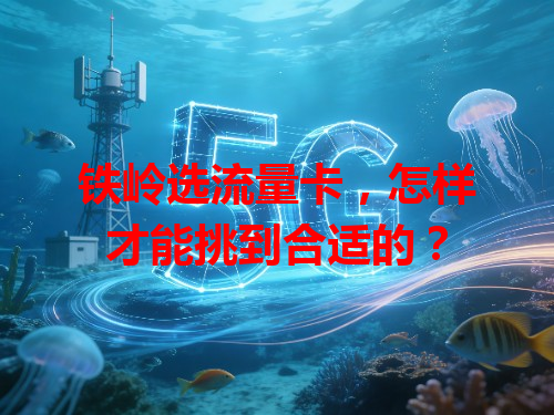 铁岭选流量卡，怎样才能挑到合适的？