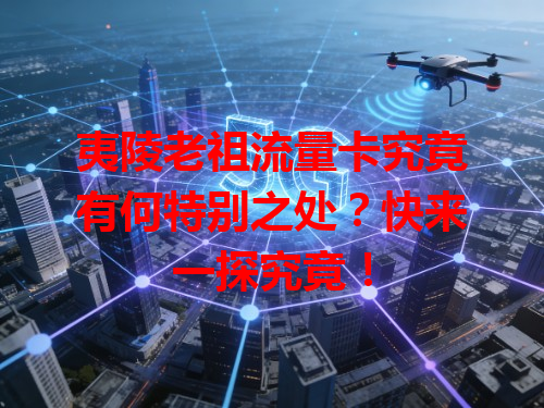 夷陵老祖流量卡究竟有何特别之处？快来一探究竟！