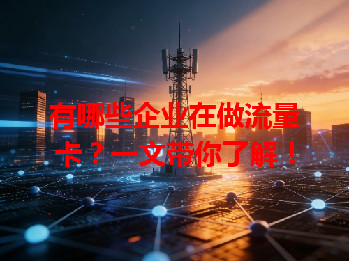 有哪些企业在做流量卡？一文带你了解！
