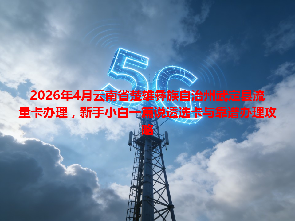 2026年4月云南省楚雄彝族自治州武定县流量卡办理，新手小白一篇说透选卡与靠谱办理攻略