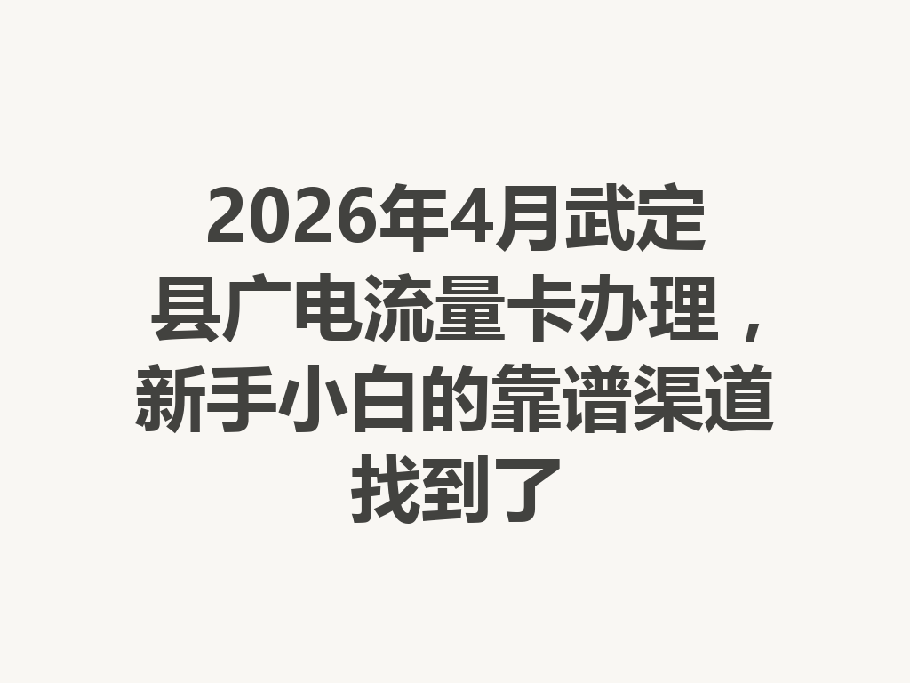2026年4月武定县广电流量卡办理，新手小白的靠谱渠道找到了
