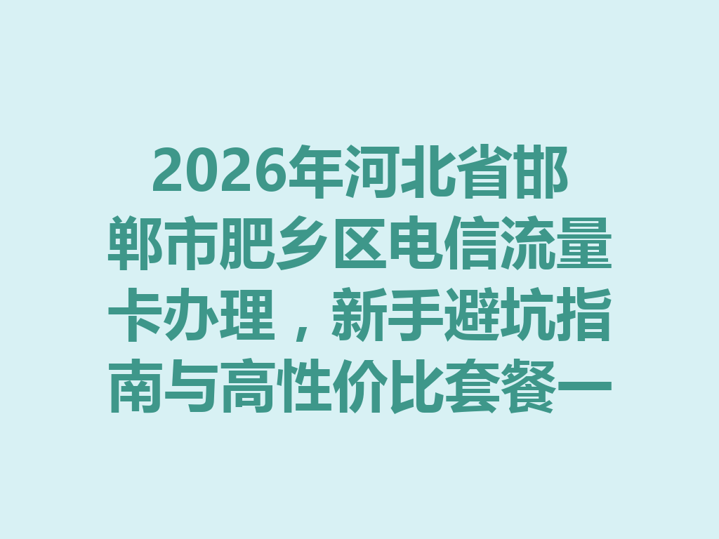 2026年河北省邯郸市肥乡区电信流量卡办理，新手避坑指南与高性价比套餐一篇说透