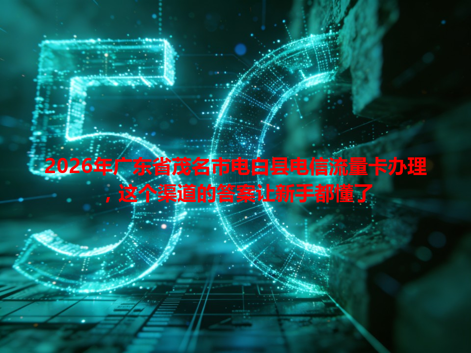 2026年广东省茂名市电白县电信流量卡办理，这个渠道的答案让新手都懂了