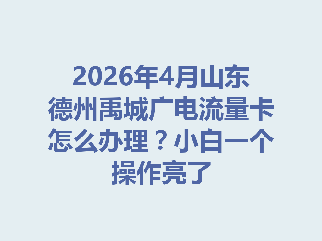 2026年4月山东德州禹城广电流量卡怎么办理？小白一个操作亮了