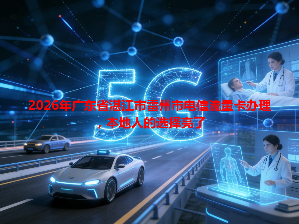 2026年广东省湛江市雷州市电信流量卡办理，本地人的选择亮了