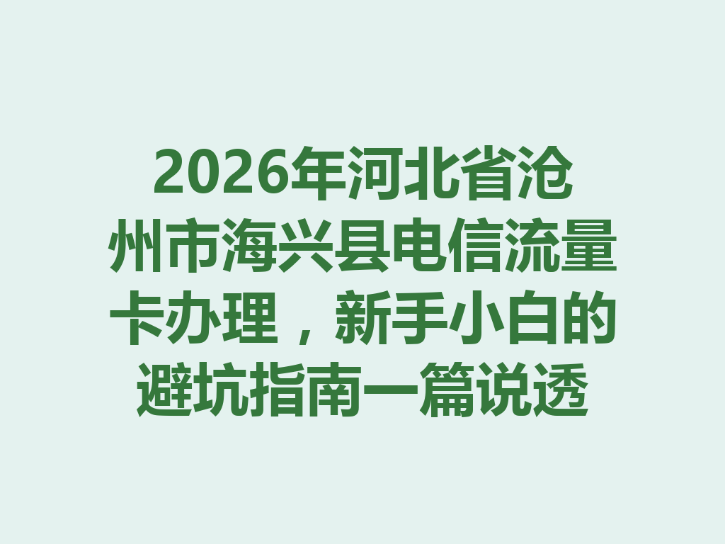 2026年河北省沧州市海兴县电信流量卡办理，新手小白的避坑指南一篇说透
