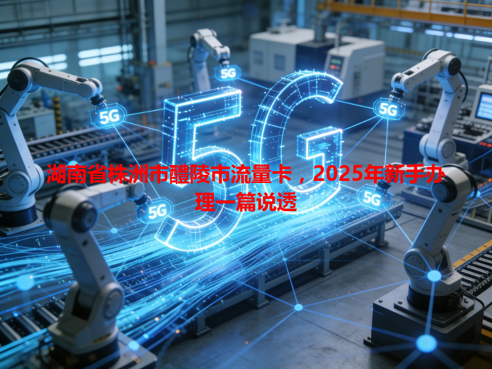 湖南省株洲市醴陵市流量卡，2025年新手办理一篇说透