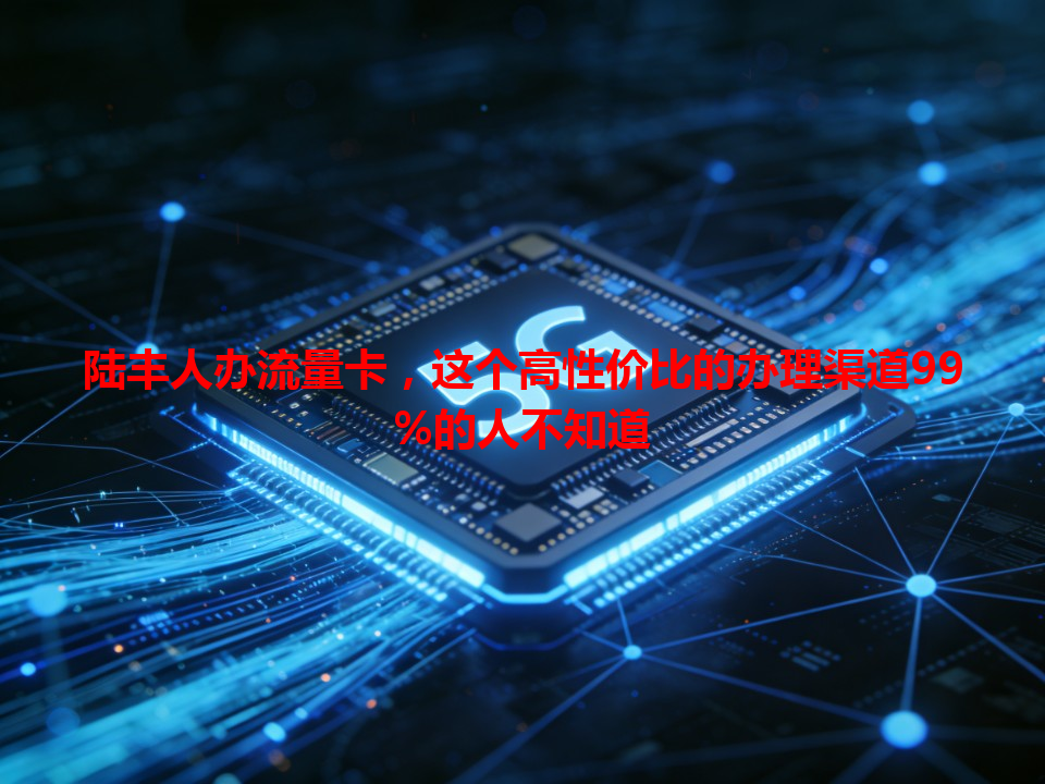 陆丰人办流量卡，这个高性价比的办理渠道99%的人不知道