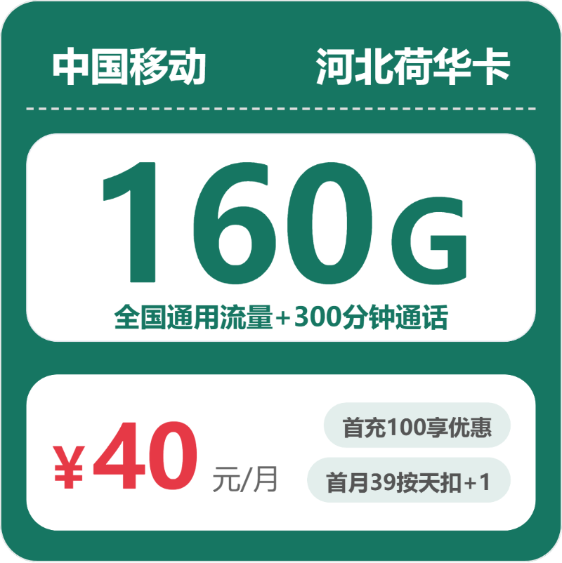 移动河北荷华卡40元每月160G通用+300分钟通话-套餐解读