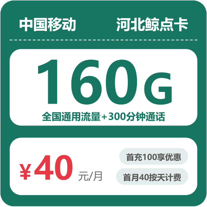 移动河北鲸点卡40元每月160G通用+300分钟通话-套餐明细