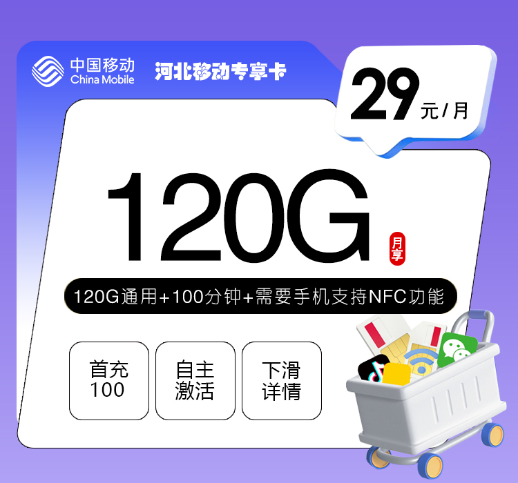 移动河北专享卡④29元每月120G通用+100分钟通话-套餐详情