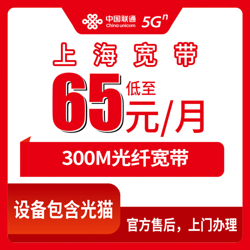 2026年10月23日上海市金山区装联通融合宽带300M一年花多少?65元档的账我先替你算一遍